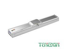 直線電機(jī)模組LT  LC